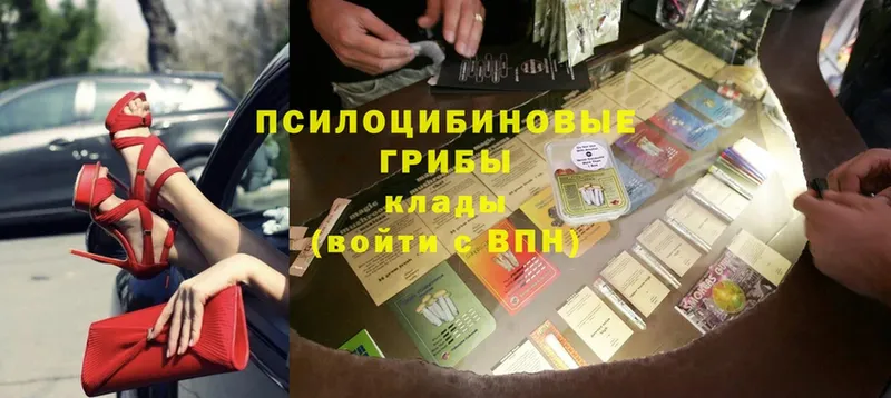 где найти наркотики  Дегтярск  blacksprut ССЫЛКА  Галлюциногенные грибы прущие грибы 